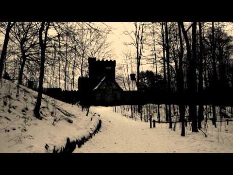 Draupnir - Through Forests of Depressive Silence