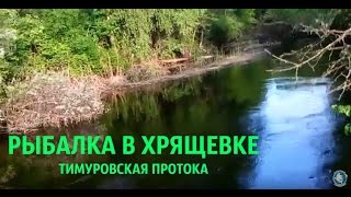 Ссылка