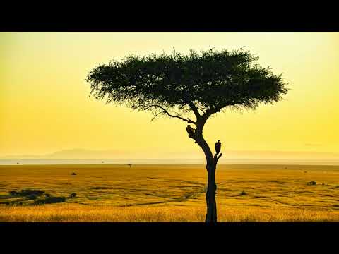 DBN Gogo ,Slowavex ft BoiBizza ,Effected ,Triple X - GURU