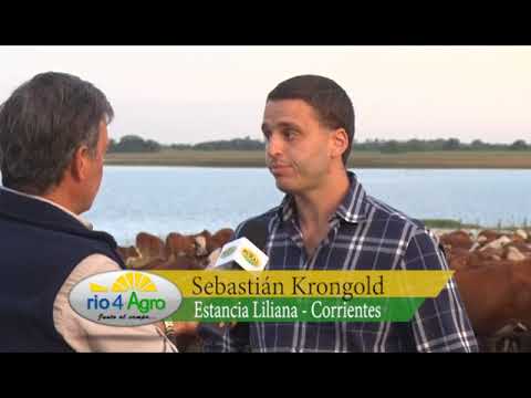 PROGRAMA RIO 4 AGRO JUEVES 04 04 B3
