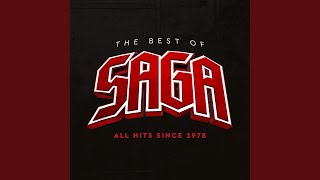 Perfectionist (Remastered)