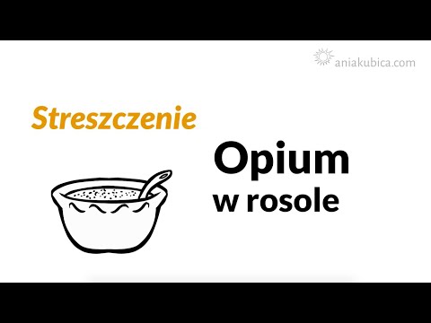Opium w rosole - streszczenie