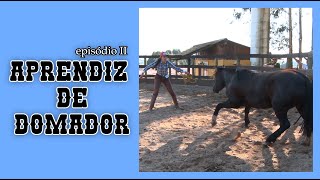 Miniatura do vídeo