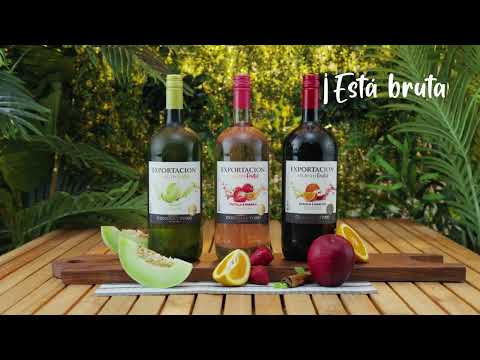 Exportación Selecto Frutal 2024 - Full Video