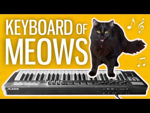 I Made a Keyboard From My Cat's Meows