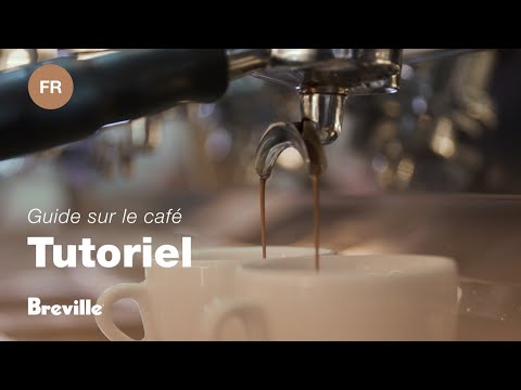 miniature vidéo
