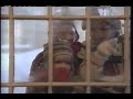 The Lion King 2 Simba S Pride Commercial 1998