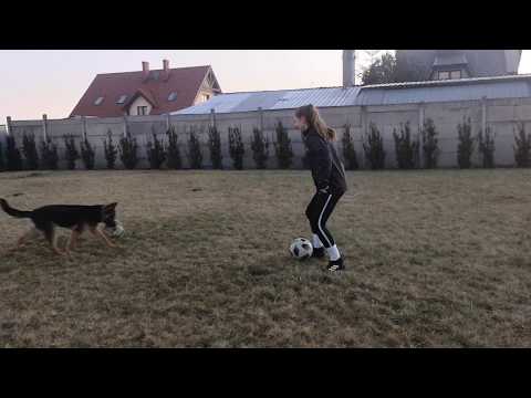 Legia Ladies - Wykop wirusa 2020