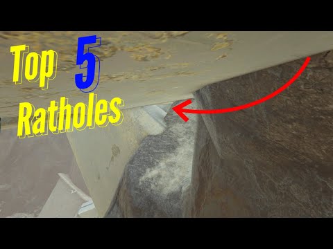 Top 5 Ratholes On Extinction | Ark Survival Evolved Broken Spots