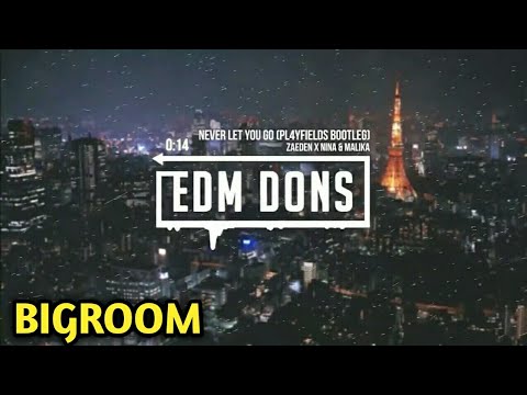 Zaeden x Nina & Malika - Never Let You Go (PL4YFIELDS Bootleg)