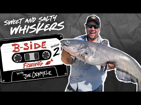 Sweet And Salty Whiskers | S2E04 | B-Side Fishing