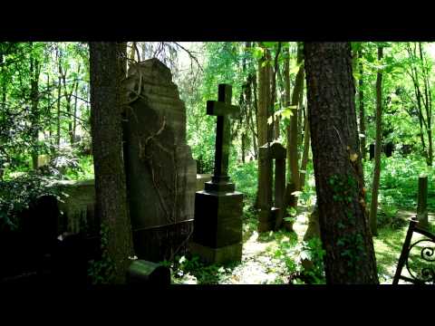 Der alte Friedhof; Der Verfall