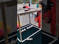 Conservation Of Momentum Explained