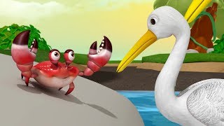 The Crane and the Crab  Stories for Kids  Moral St