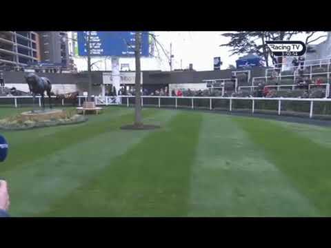 Cyrname bolts up in the Betfair Ascot Chase 2019