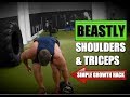 The KEY to Building Big Shoulders & Triceps [It's SO SIMPLE!]