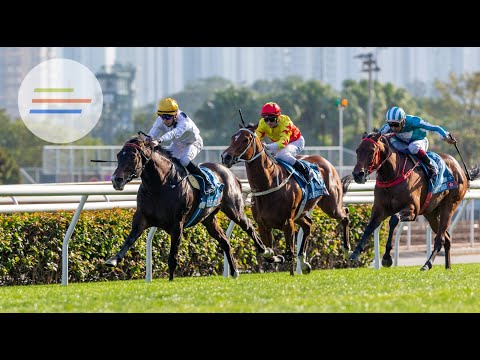 Asian Racing Review: G1 Stewards' Cup day
