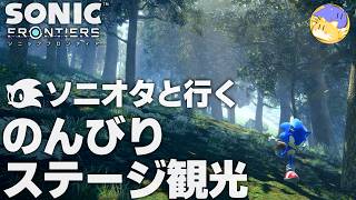 ソニオタと行く！のんびりステージ観光 ~ソニックフロンティア編~