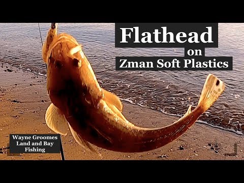 How to catch FLATHEAD land based with Soft Plastics