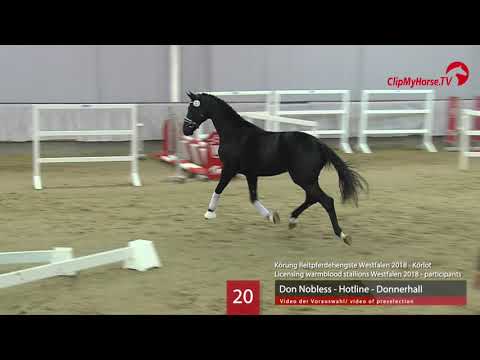 20 Hengst v. Don Nobless - Hotline - Donnerhall