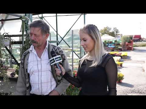 Ceger ep.51 - Pijaca cveća u Krnjači  - 19.10.2019.