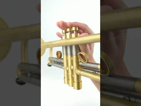 Yamaha YTR-200ADII Advantage Standard Bb Trumpet 2010s - Brass imagen 2