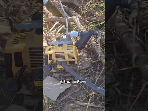 irrigação por gotejamento ??    #agriculture #irrigation #satisfying