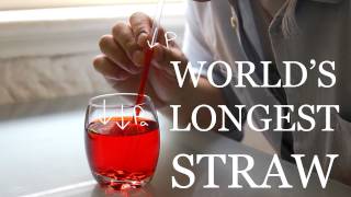 World's Longest Vertical Straw