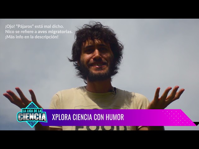 Vídeo relacionado con Ciencia Nerd Física Broma Química Friki Humor Juego de Camiseta