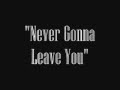 Michael Alvarado Carissa Rae Never Gonna Leave You Lyrics