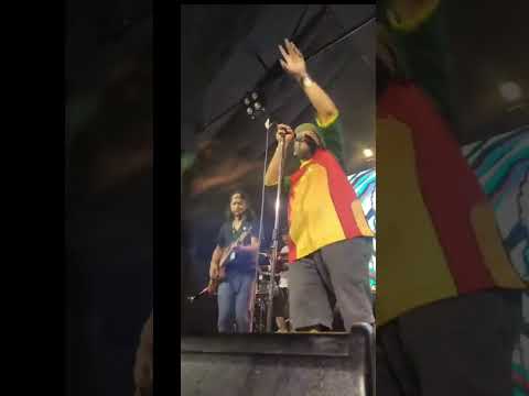 RASTA SYNDICATE @ SUNTONE REGGAE FESTIVAL - VOL 2 ( 2023)