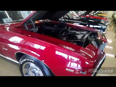 We bought A CLASSIC CAR w/ the fam