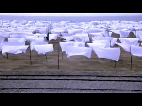 Smokey Bandits - A Son's Lament