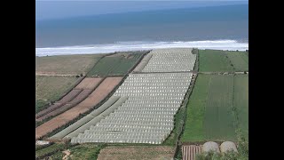 preview picture of video 'Présentation de l'Agriculture dans de la région de Casablanca-Settat, Maroc'