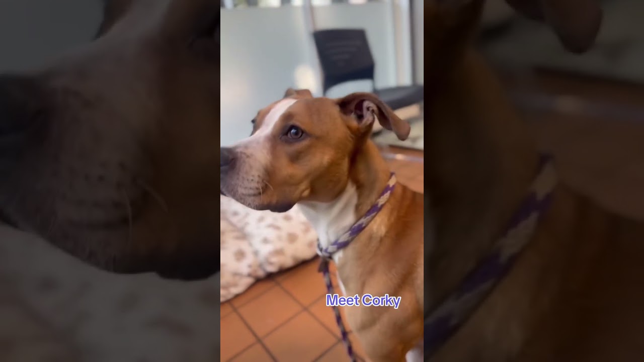 A314246's Video 2