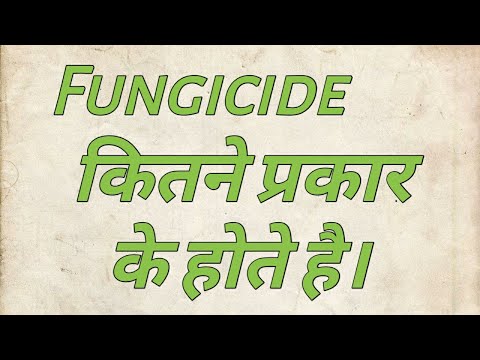 👍||Fungicide से जुड़ी मुख्य जानकारी||👍
