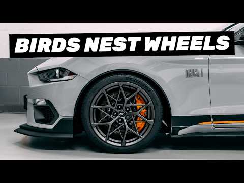 Ford Performance (BIRDS NEST) Wheels