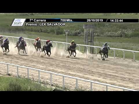 26/10/2019 – Hipodromo Colonia – Carr 7 – LEX SALVADOR