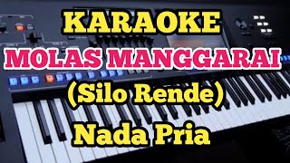 Download lagu Karaoke MOLAS MANGGARAI Ciptaan Silo Rende Music B... mp3