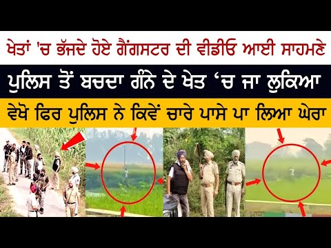 Kheta 'ਚ ਭੱਜਦੇ ਹੋਏ Gangsters ਦੀ VIDEO ਆਈ ਸਾਹਮਣੇ