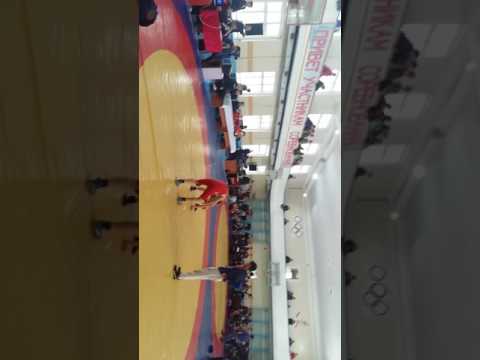 Вольная борьба З. Н