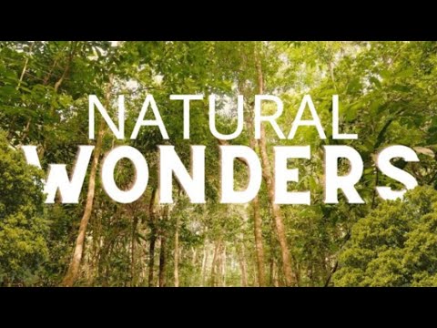 Untold: Greatest Natural Wonders Around the World - Uncut Documentary in 4K🌲
