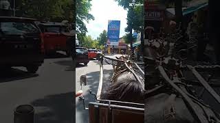 Download lagu Naik Delman keliling Alun Alun Tulungagung mp3