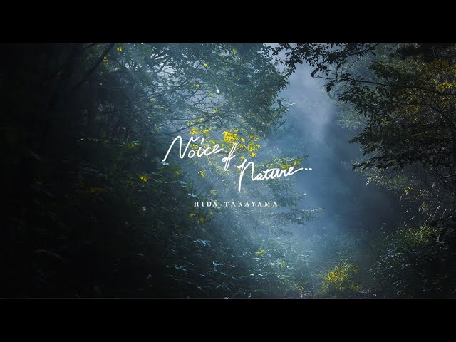 【高山市公式】Voice of Nature - HIDA TAKAYAMA JAPAN