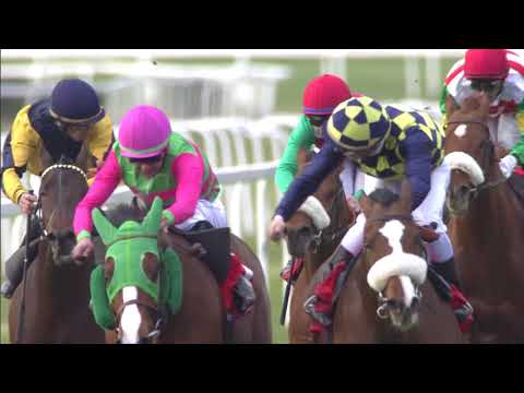 128° Premio Pisa HD