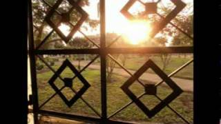 Children And Flowers