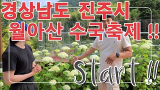 6월엔 수국 축제 !! 최신 품종이 가득한 수국공원 둘러보기!! 올 여름 휴양지는 월아산으로 갑시다!! [J…