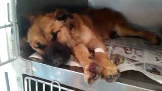 This is one unbelievable rescue.