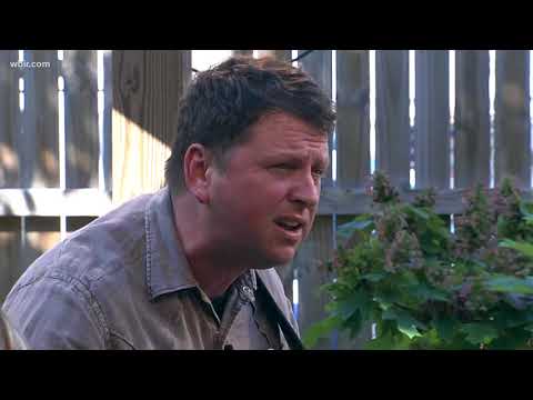 Music from Abe Partridge