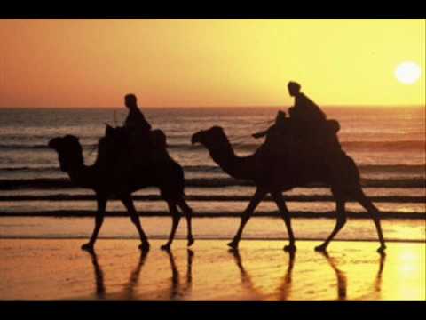 Camel Riders - Twisted